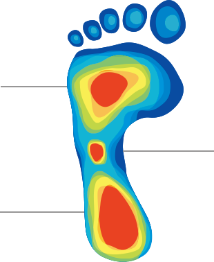 Footmap Full View